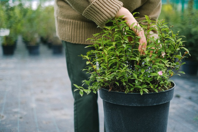 L’enseigne Botanic devient entreprise à mission