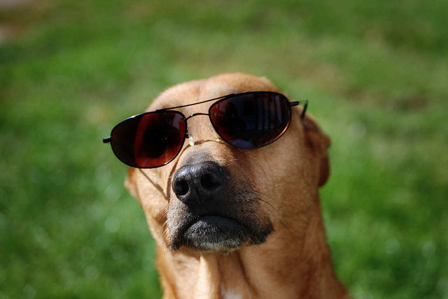 Adoptons le "slow management" pour une vie professionnelle plus équilibrée ! Adoptons le "slow management" pour une vie professionnelle plus équilibrée !