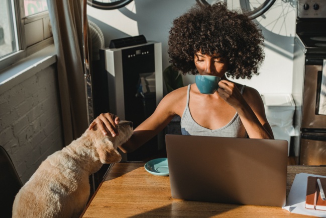 1 dirigeant sur 2 estime que ses salariés sont tout aussi productifs en télétravail
