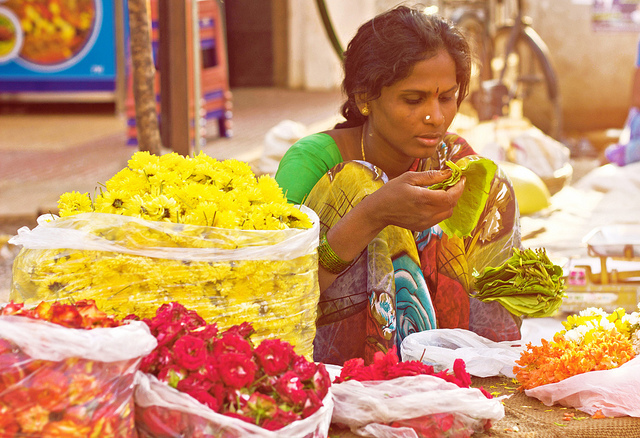 cc/flickr/Mahin Fayaz cc/flickr/Mahin Fayaz