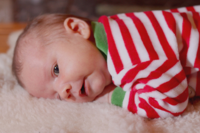 cc/flickr/I_am_allan cc/flickr/I_am_allan