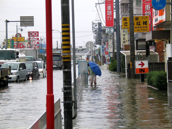 Inondations au Japon : la filière bois pointée du doigt