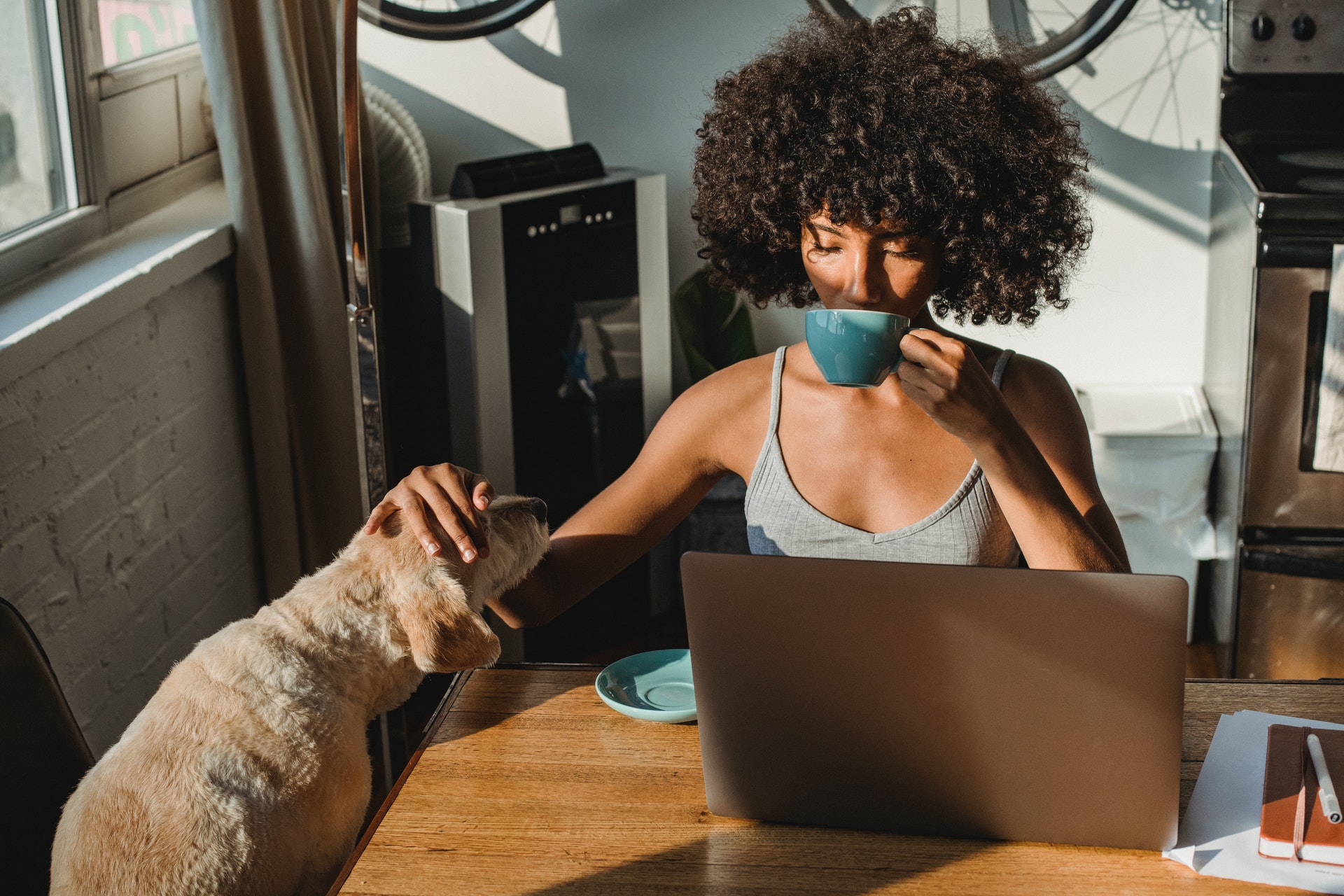 1 dirigeant sur 2 estime que ses salariés sont tout aussi productifs en télétravail