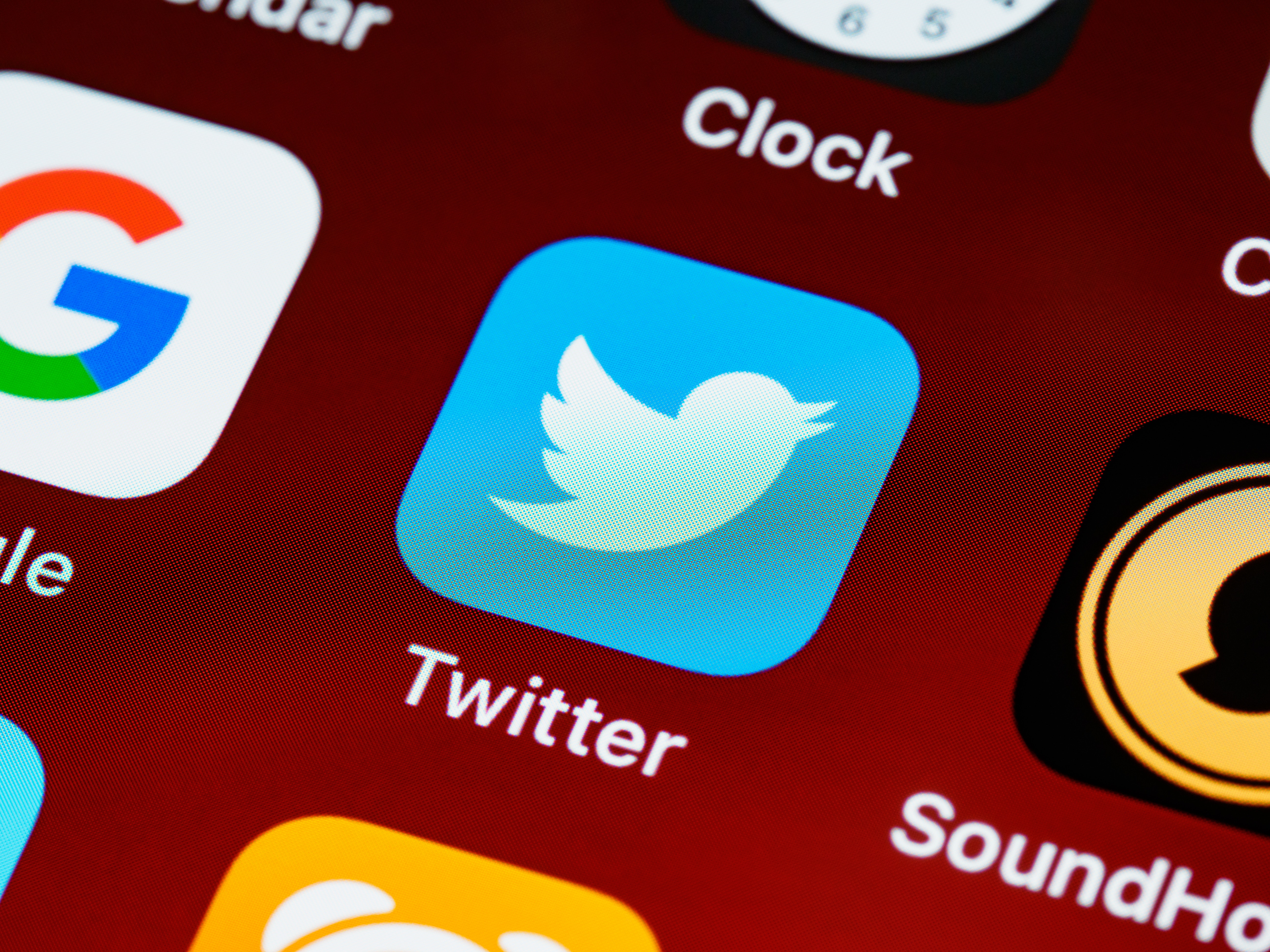 Twitter racheté, « l’oiseau est libre »