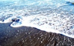 La stratégie océan bleu : quand vaincre la concurrence revient à ne pas l’affronter