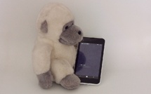 Travis Kalanick renonce à son poste de conseiller de Donald Trump Travis Kalanick renonce à son poste de conseiller de Donald Trump