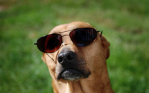 Le "slow management" pour les nuls Le "slow management" pour les nuls