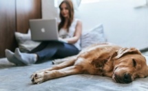 Travail hybride : 85% des salariés n’y voient aucun effet négatif sur leur productivité Travail hybride : 85% des salariés n’y voient aucun effet négatif sur leur productivité